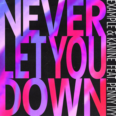 シングル/Never Let You Down (feat. Penny Ivy)/Example & Kanine