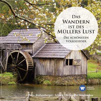 Wenn ich ein Voglein war (1995 Remastered Version)/Anneliese Rothenberger／Symphonie-Orchester Graunke ／Willy Mattes