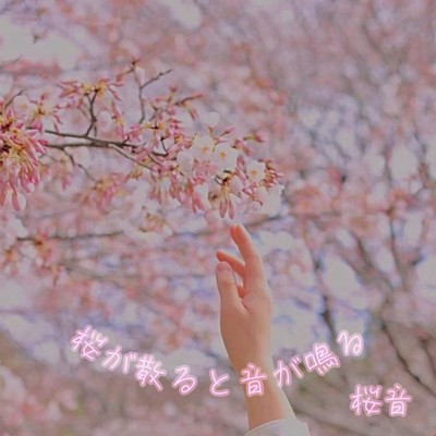 桜音