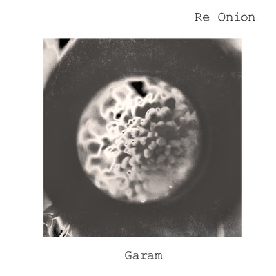 Garam(feat. GorillaWave！)/Re Onion