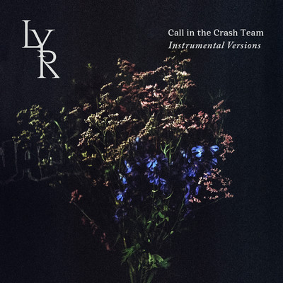 アルバム/Call in the Crash Team (Instrumental Version)/LYR