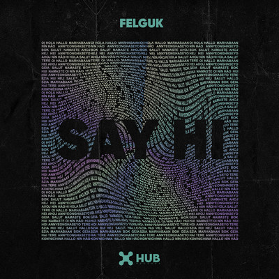 Say Hi (Extended Mix)/Felguk