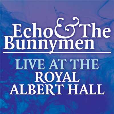 アルバム/Live at the Royal Albert Hall/Echo & The Bunnymen