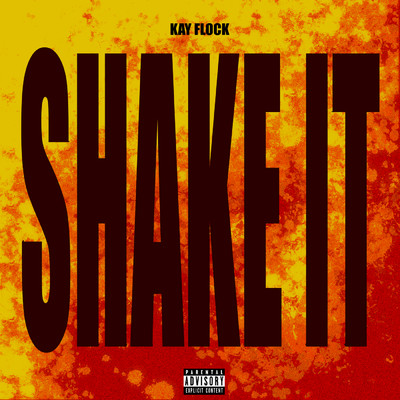 シングル/Shake It (Instrumental)/Kay Flock