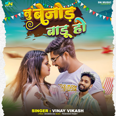 Tu Bejod Badu Ho/Vinay Vikash