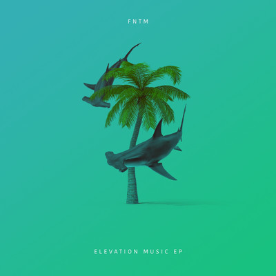 Elevation Music EP/FNTM