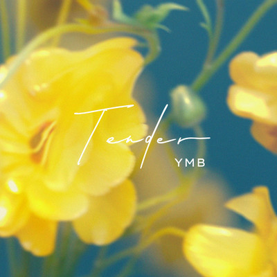 Tender/YMB