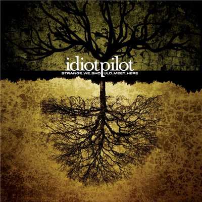 A Light at the End of the Tunnel/Idiot Pilot
