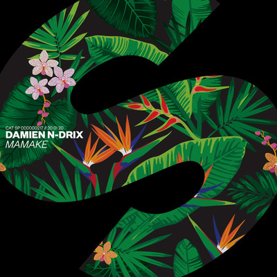 シングル/Mamake (Extended Mix)/Damien N-Drix
