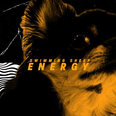 Energy/Swimming Sheep