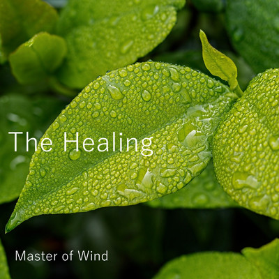 シングル/The Healing/Master of Wind