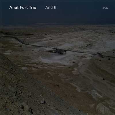 Clouds Moving/Anat Fort Trio
