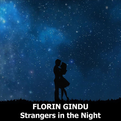 Strangers in the Night/Florin Gindu