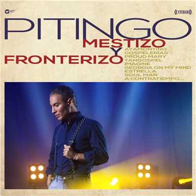 アルバム/Mestizo y fronterizo/Pitingo