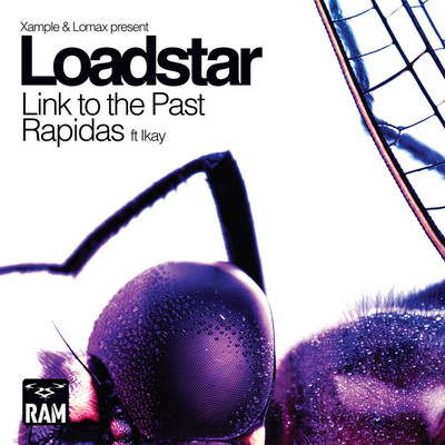 アルバム/Link to the Past ／ Rapidas/Loadstar
