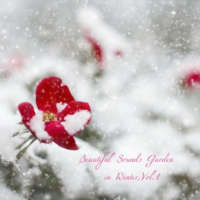 アルバム/Beautiful Sounds Garden in Winter, Vol.1/おうちおんがく