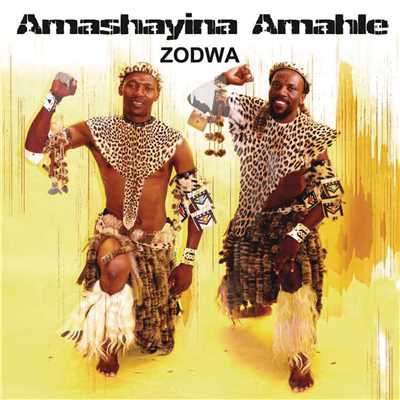 Thonga Lami (Album Version)/Amashayina Amahle
