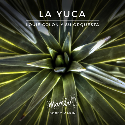La Yuca/Louie Colon y Su Orquesta