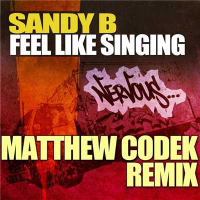 シングル/Feel Like Singin' (Matthew Codek Re-written 2011 Remix)/Sandy B