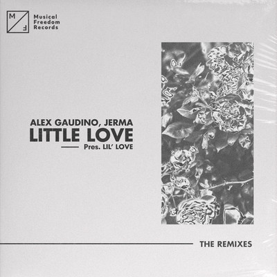 Little Love (pres. Lil' Love) [Plaster Hands Sunset Mix]/Alex Gaudino／Jerma