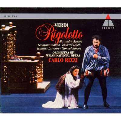Verdi : Rigoletto/Leontina Vaduva