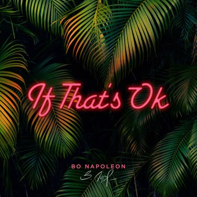 シングル/If That's Ok/Bo Napoleon