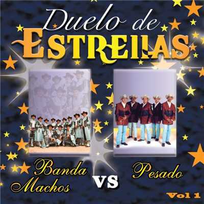Pesado vs. Banda Machos Vol. 1/Various Artists