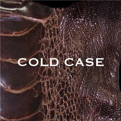 アルバム/COLD CASE ( lipper )/vistlip