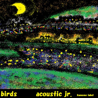 アルバム/birds/acoustic jr.