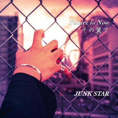 Future is Now/JUNK STAR