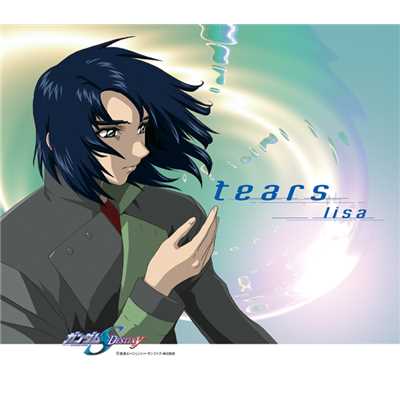 シングル/tears 〜 original karaoke/lisa