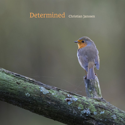 アルバム/Determined/Christian Janssen