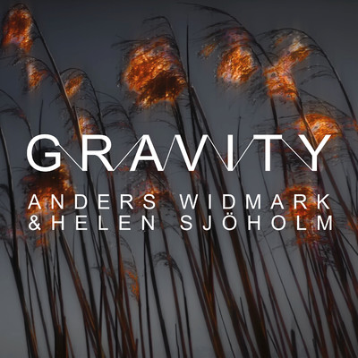 Gravity/Anders Widmark