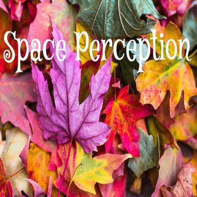 アルバム/Space Perception/Pain associate sound