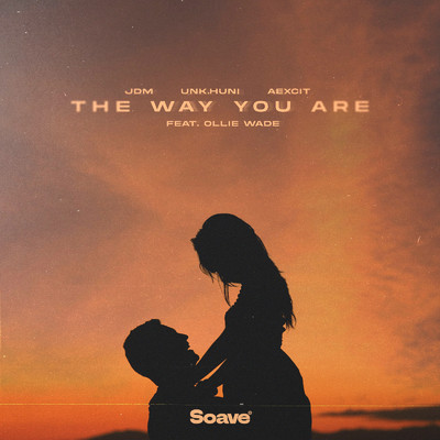 The Way You Are (feat. Ollie Wade)/JDM, UNK.Huni & Aexcit