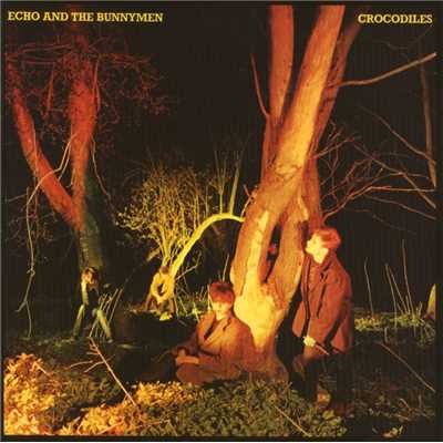 アルバム/Crocodiles (Expanded) [2007 Remaster]/Echo & The Bunnymen