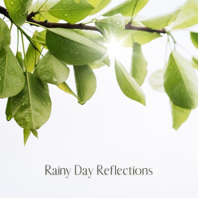 アルバム/Rainy Day Reflections/Calming Chords