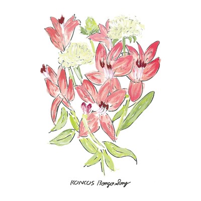 シングル/Bongo Song/KONCOS