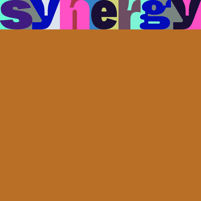 Synergy/柴田聡子