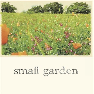 out of music/small garden