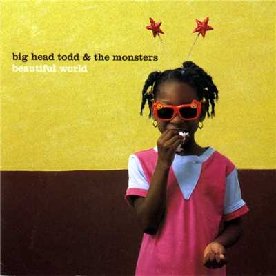 Heart of Wilderness/Big Head Todd and The Monsters