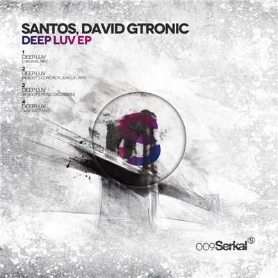 アルバム/Deep Luv/Santos, David Gtronic