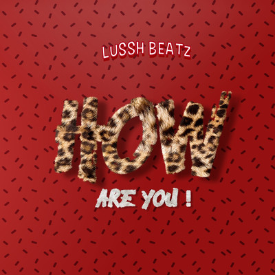 シングル/How Are You/Lussh Beatz