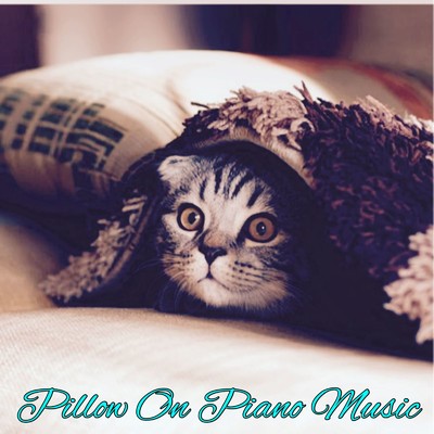 Pillow On Piano Music/Bigping