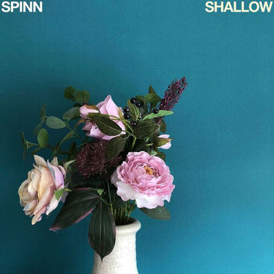 Shallow/SPINN