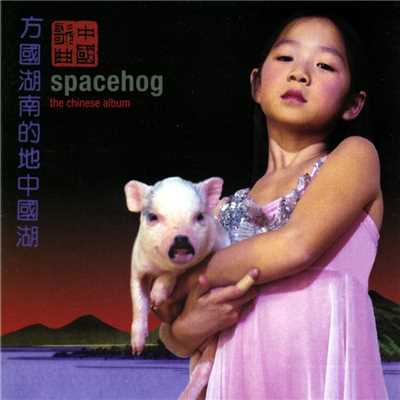 アルバム/The Chinese Album/Spacehog