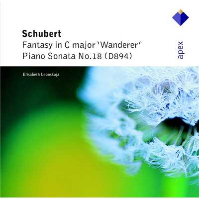 Schubert: Wanderer Fantasy, Op. 15 & Piano Sonata No. 18/Elisabeth Leonskaja