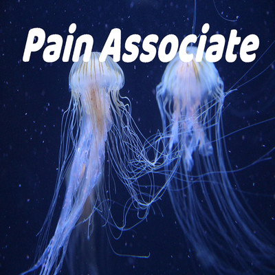 アルバム/Pain Associate/Pain associate sound