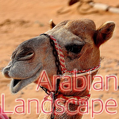 アルバム/Arabian Landscape/寧