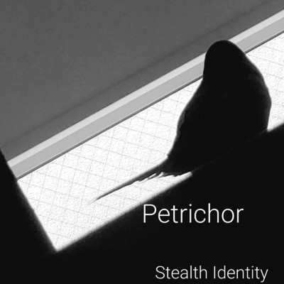 アルバム/Petrichor/Stealth Identity